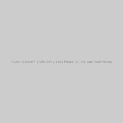 Human CellExp™ SARS-CoV-2 Spike Protein (S1; His-tag), Recombinant